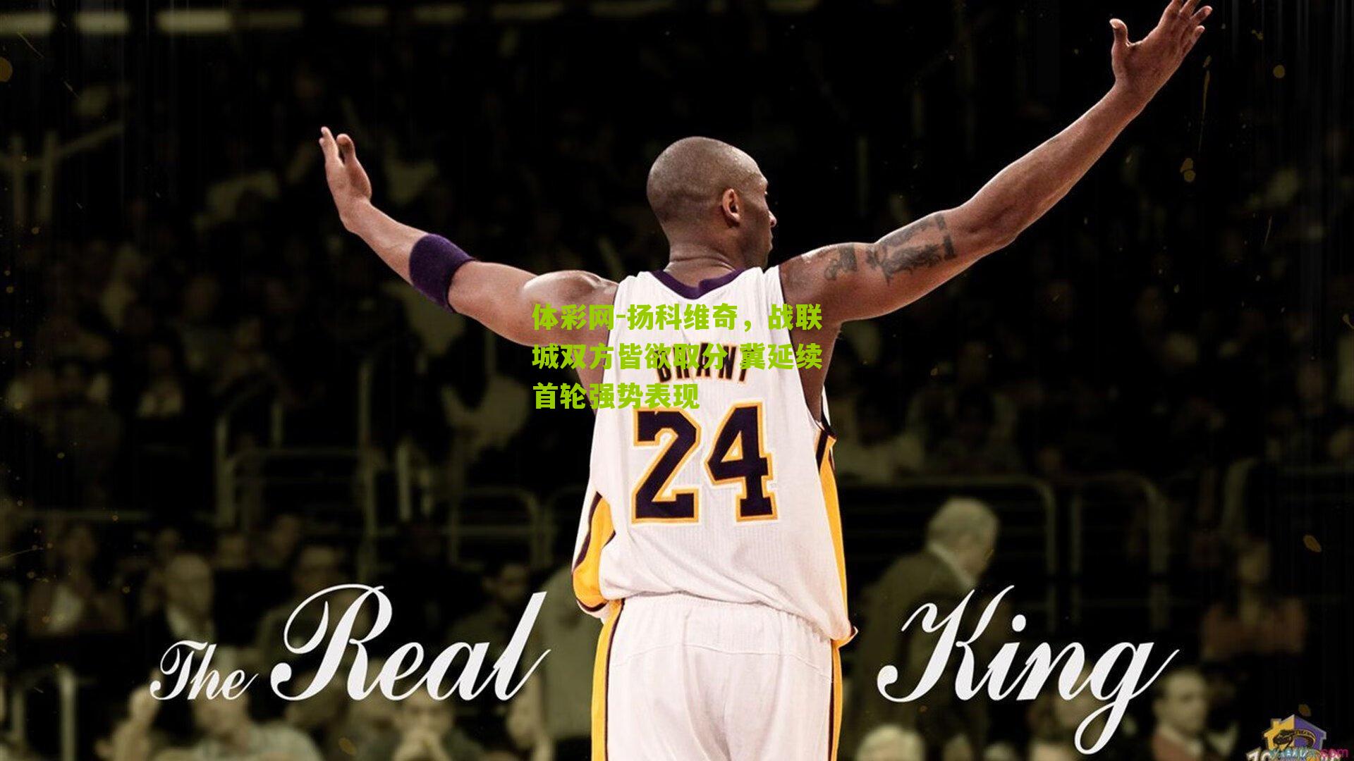 扬科维奇,战联城双方皆欲取分 冀延续首轮强势表现