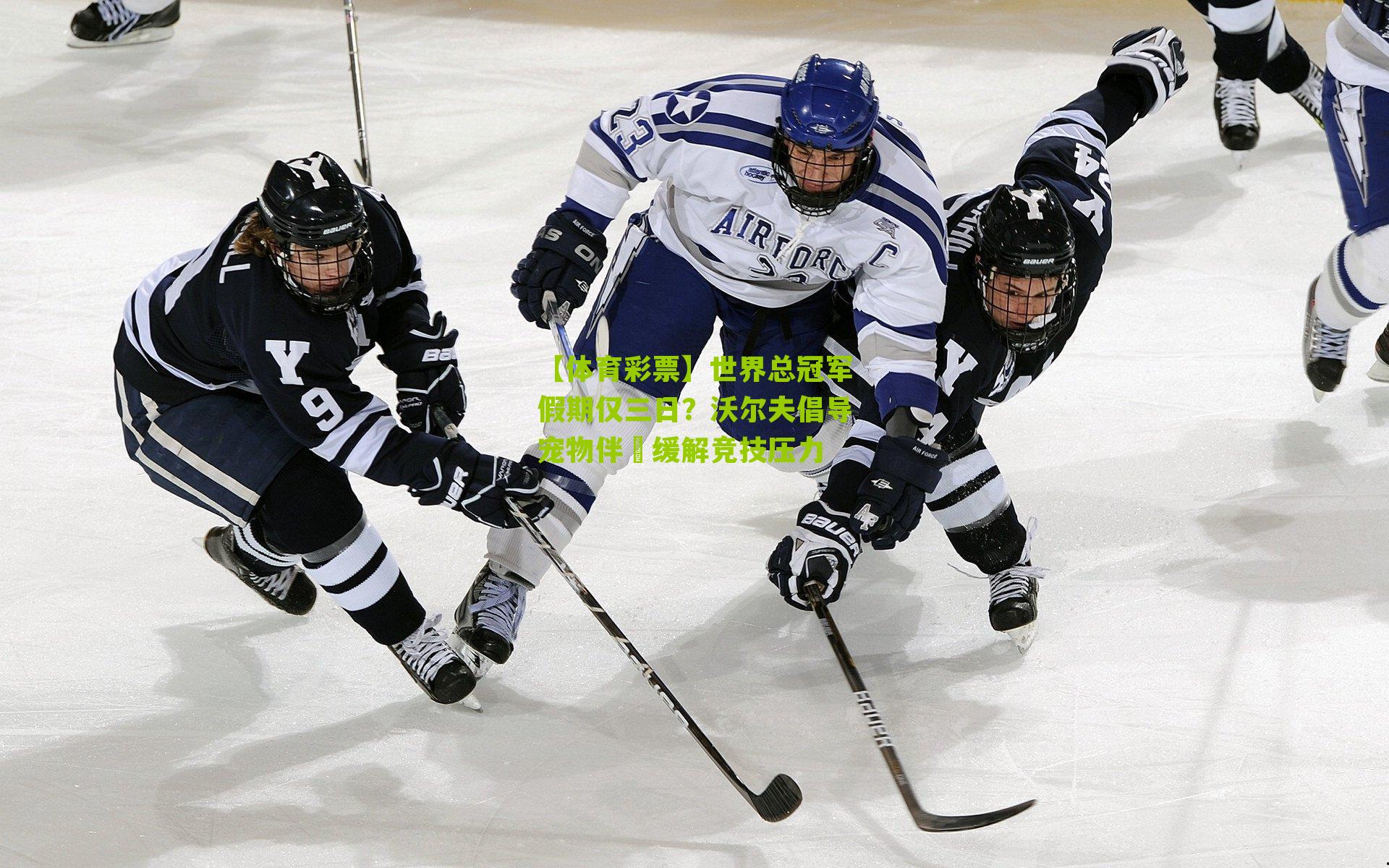 世界总冠军假期仅三日？沃尔夫倡导宠物伴侶缓解竞技压力