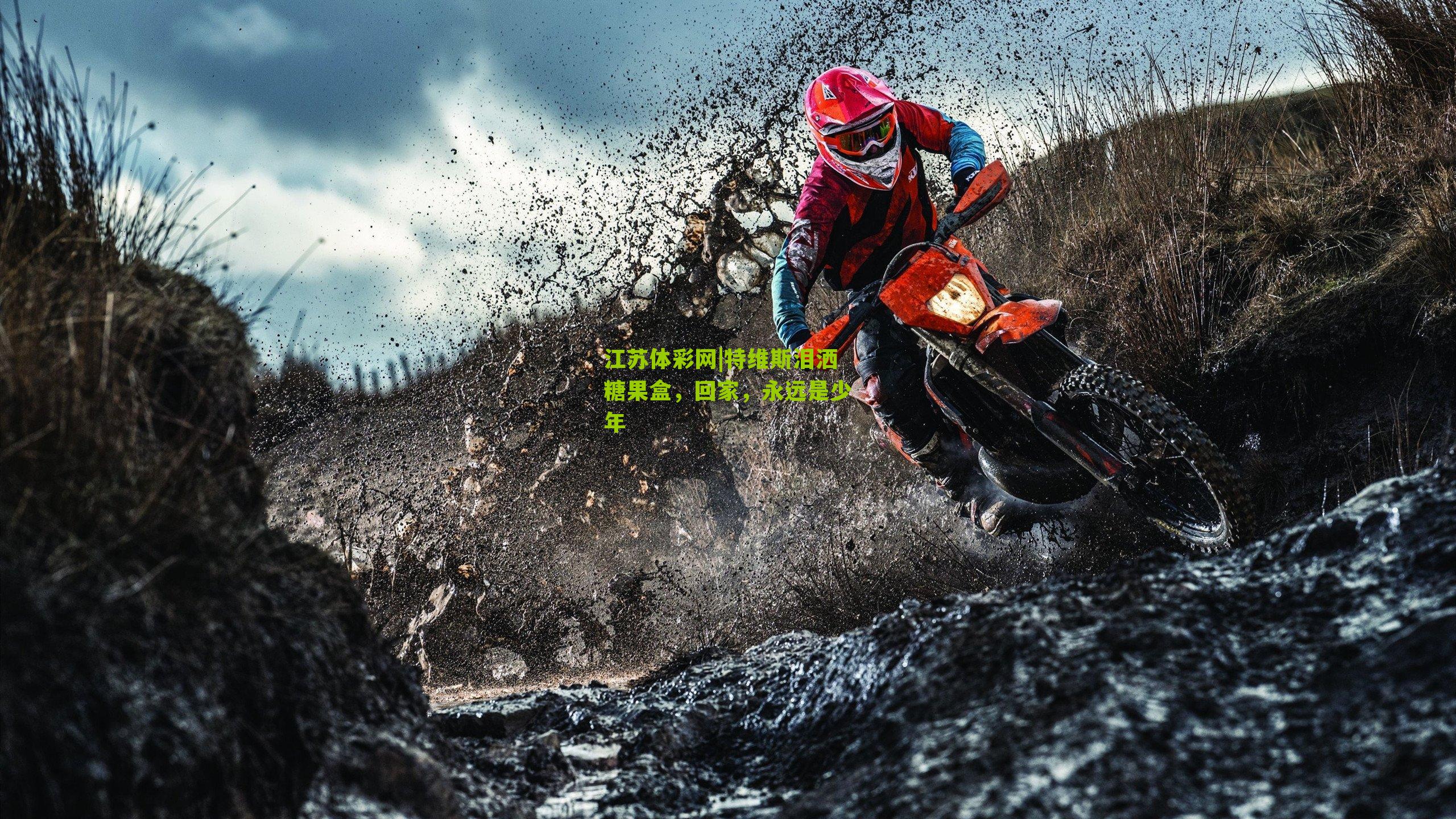 特维斯泪洒糖果盒，回家，永远是少年