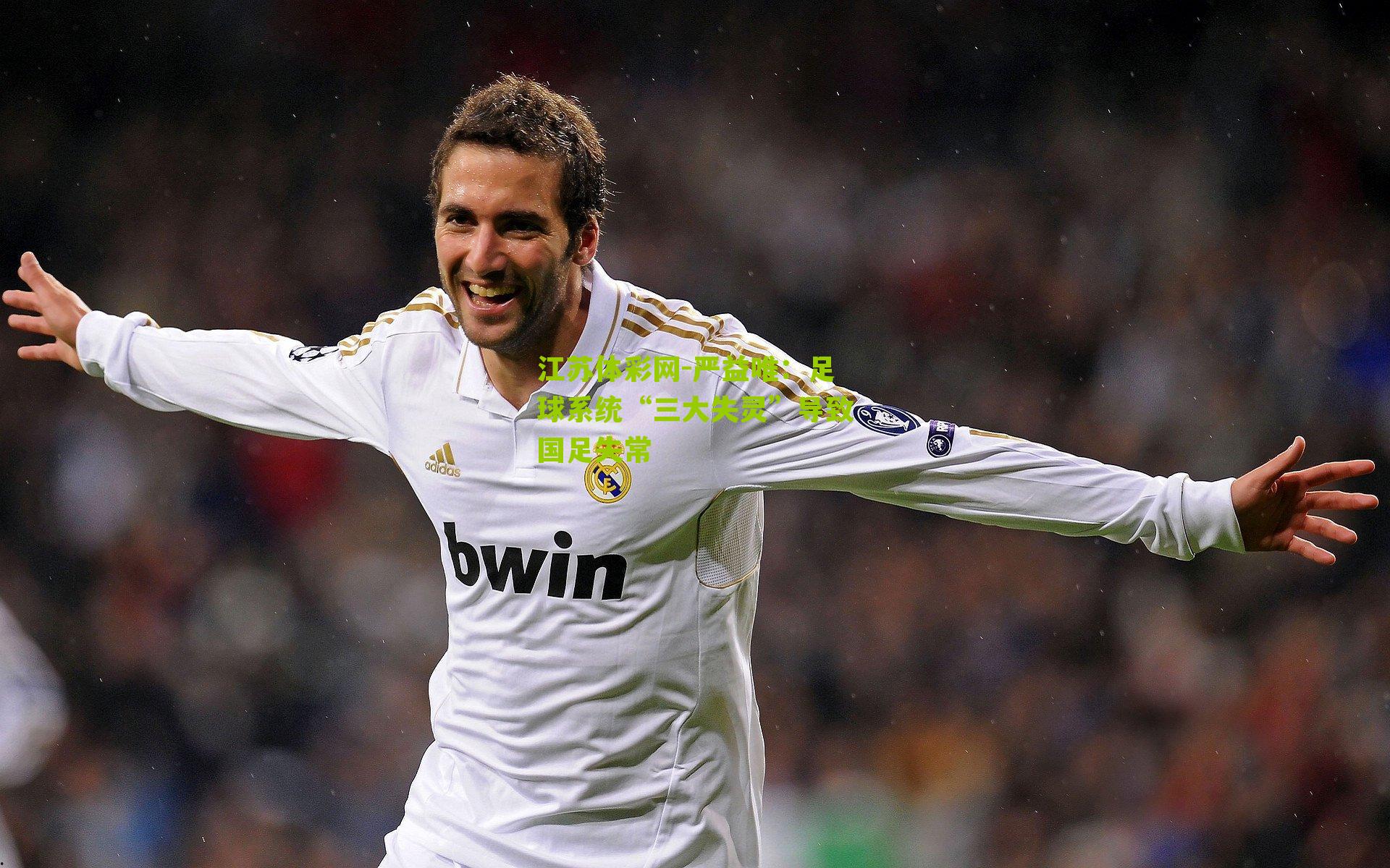 严益唯：足球系统“三大失灵”导致国足失常